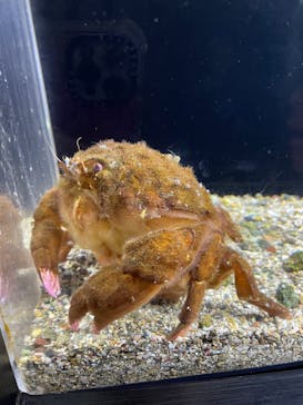 下田海中水族館に投稿された画像（2024/5/6）