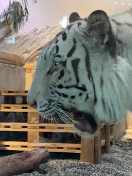 NIFREL（ニフレル）に投稿された画像（2024/5/6）