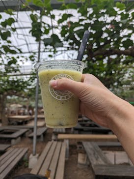 キウイフルーツカントリーJapan（キウイフルーツカントリージャパン）に投稿された画像（2024/5/6）