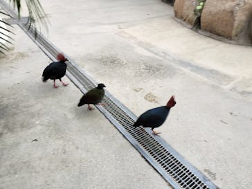 神戸どうぶつ王国に投稿された画像（2024/5/6）