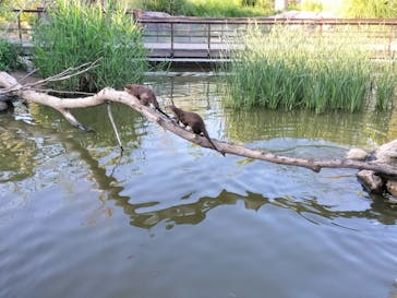神戸どうぶつ王国に投稿された画像（2024/5/6）