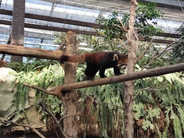 神戸どうぶつ王国に投稿された画像（2024/5/6）