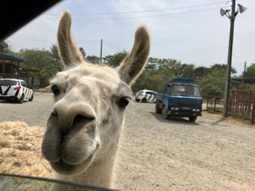 東北サファリパークに投稿された画像（2024/5/6）