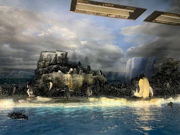 名古屋港水族館に投稿された画像（2024/5/6）