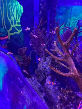 レゴランドⓇ・ジャパン・リゾートに投稿された画像（2024/3/31）