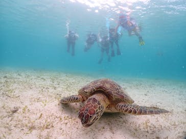 宮古島マリンショップSmileyに投稿された画像（2024/5/6）