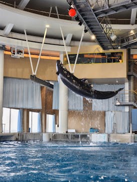 アクアワールド茨城県大洗水族館に投稿された画像（2024/5/6）