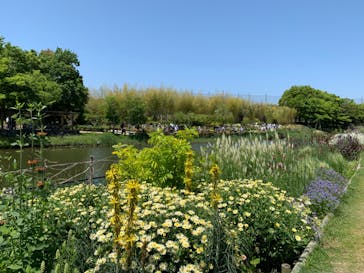 浜名湖花博2024に投稿された画像（2024/5/6）