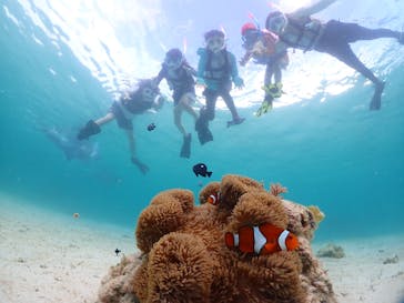 初心者専門宮古島シュノーケリングツアーに投稿された画像（2024/5/6）