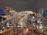 福井県立恐竜博物館に投稿された画像（2024/5/6）