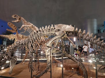 福井県立恐竜博物館に投稿された画像（2024/5/6）