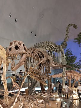 福井県立恐竜博物館に投稿された画像（2024/5/6）