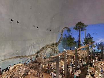 福井県立恐竜博物館に投稿された画像（2024/5/6）