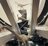 福井県立恐竜博物館に投稿された画像（2024/5/6）