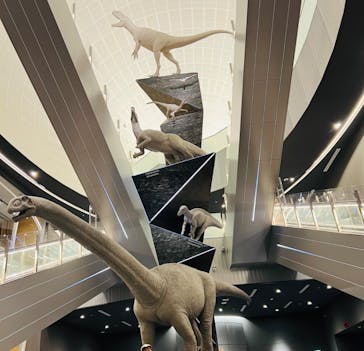 福井県立恐竜博物館に投稿された画像（2024/5/6）