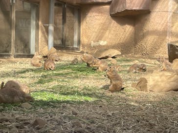 那須どうぶつ王国に投稿された画像（2024/5/6）