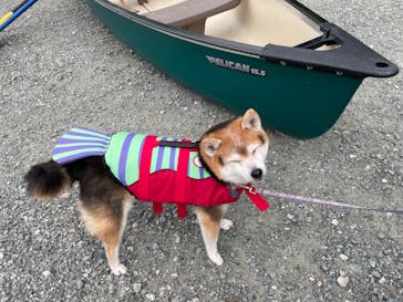 Verde Odai（ベルデオオダイ）に投稿された画像（2024/5/6）