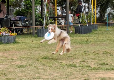 つくばわんわんランドに投稿された画像（2024/5/6）