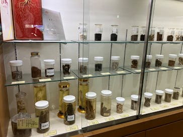 丹波市立薬草薬樹公園　丹波の湯に投稿された画像（2024/5/6）