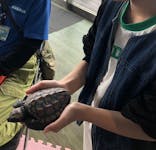 串本海中公園水族館に投稿された画像（2024/5/6）