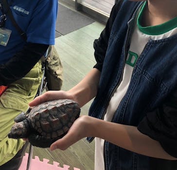 串本海中公園水族館に投稿された画像（2024/5/6）