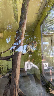 ひらかたパークに投稿された画像（2024/5/6）