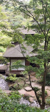 三溪園に投稿された画像（2024/5/6）