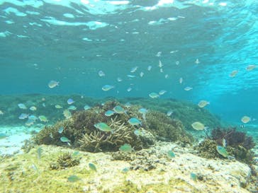 宮古島 ADVENTURE PiPi（ミヤコジマ アドベンチャー ピピ）に投稿された画像（2024/5/6）