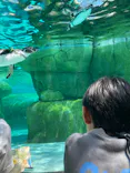 天王寺動物園に投稿された画像（2024/5/6）
