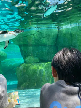 天王寺動物園に投稿された画像（2024/5/6）