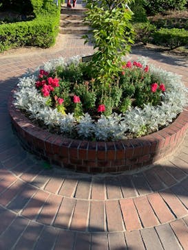 安城産業文化公園デンパークに投稿された画像（2024/5/6）