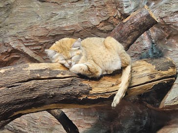 那須どうぶつ王国に投稿された画像（2024/5/6）