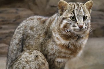 那須どうぶつ王国に投稿された画像（2024/5/6）