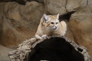 那須どうぶつ王国に投稿された画像（2024/5/6）