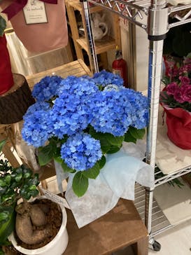 サンシャイン60展望台に投稿された画像（2024/5/6）