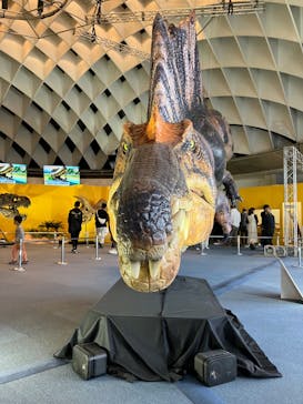 オダイバ恐竜博覧会2024 -福井から“ヤツラ”が新幹線でやってくる！-に投稿された画像（2024/5/6）