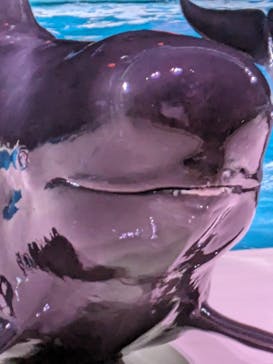 マリンワールド海の中道に投稿された画像（2024/5/6）