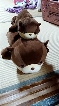 アクアワールド茨城県大洗水族館に投稿された画像（2024/5/6）