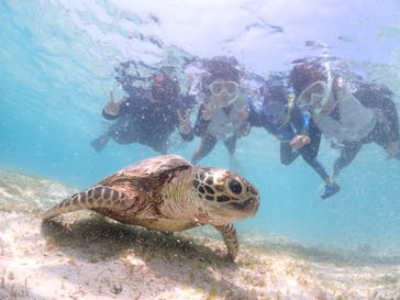 宮古島マリン GB QUESTに投稿された画像（2024/5/6）