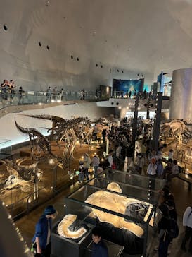 福井県立恐竜博物館に投稿された画像（2024/5/6）