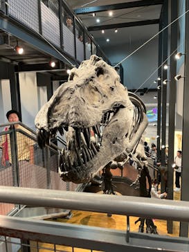 福井県立恐竜博物館に投稿された画像（2024/5/6）