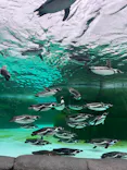 天王寺動物園に投稿された画像（2024/5/6）