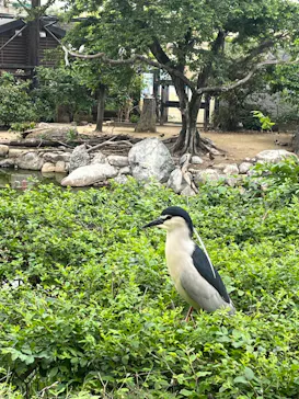 天王寺動物園に投稿された画像（2024/5/6）