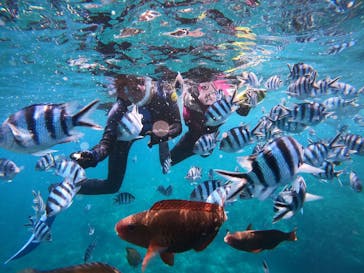 武藤潜水に投稿された画像（2024/5/6）