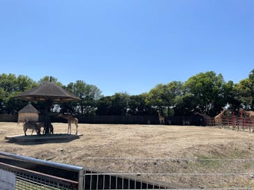 東武動物公園に投稿された画像（2024/5/6）