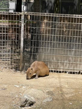 東武動物公園に投稿された画像（2024/5/6）