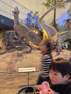 福井県立恐竜博物館に投稿された画像（2024/5/6）