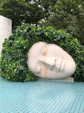 彫刻の森美術館に投稿された画像（2024/5/6）