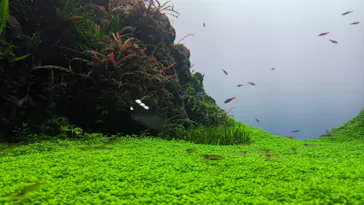 すみだ水族館に投稿された画像（2024/5/6）