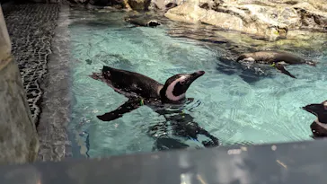すみだ水族館に投稿された画像（2024/5/6）